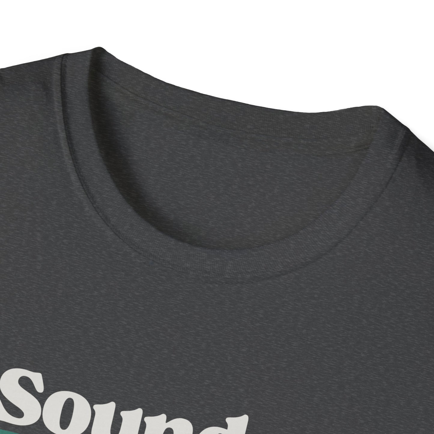Sounds Gay Unisex Softstyle T-Shirt - Pride Apparel for LGBTQ+ Community