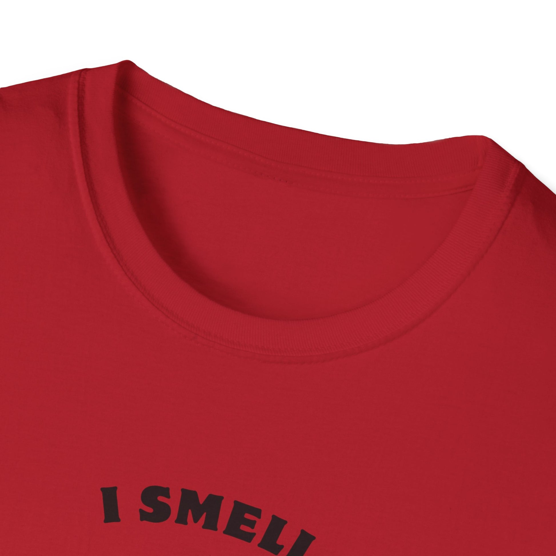 I Smell Your Light Saber Unisex T-Shirt | Fun Graphic Tee, Sci-Fi Humor Shirt, Gift for Star Wars Fans, Casual Wear, Joke Shirt