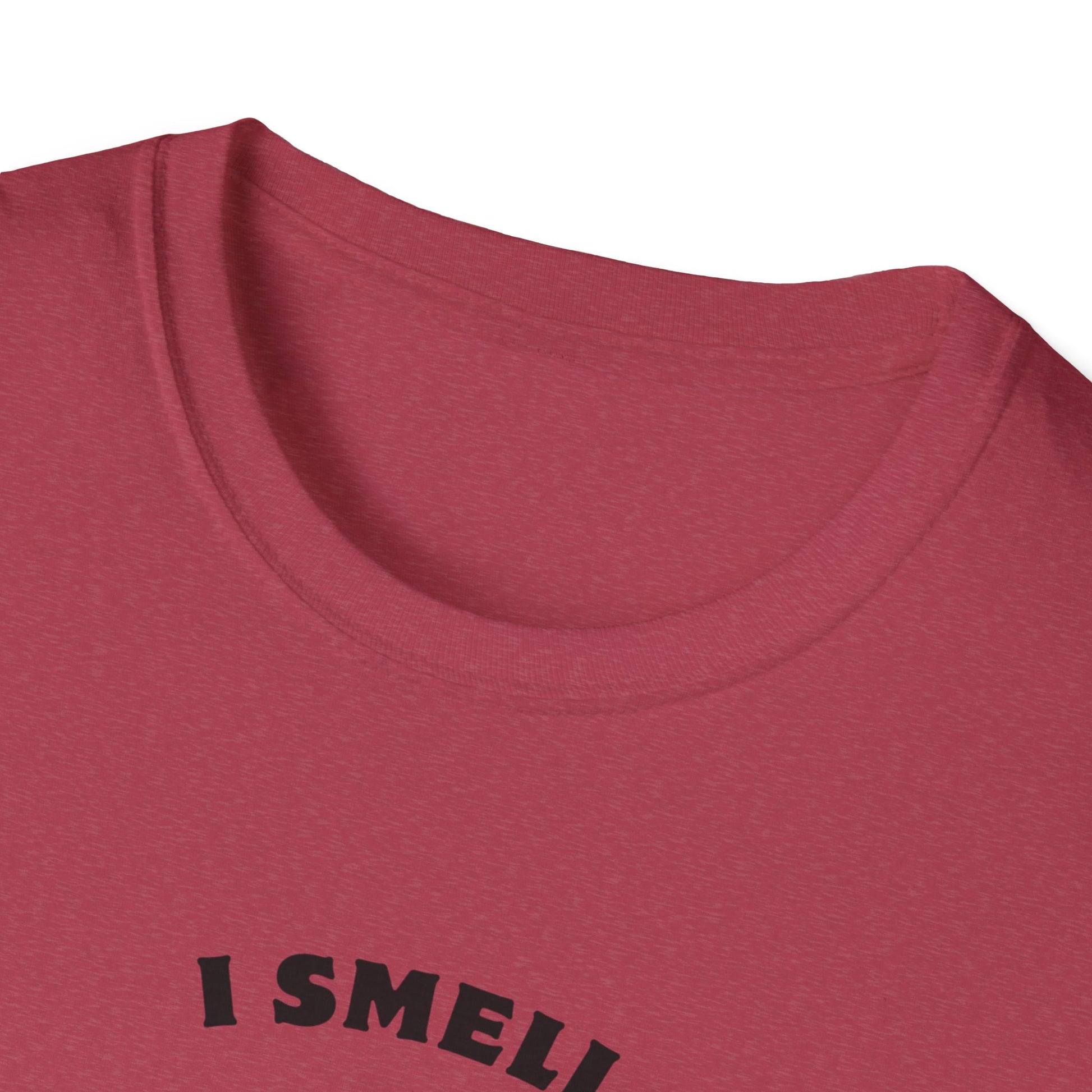 I Smell Your Light Saber Unisex T-Shirt | Fun Graphic Tee, Sci-Fi Humor Shirt, Gift for Star Wars Fans, Casual Wear, Joke Shirt