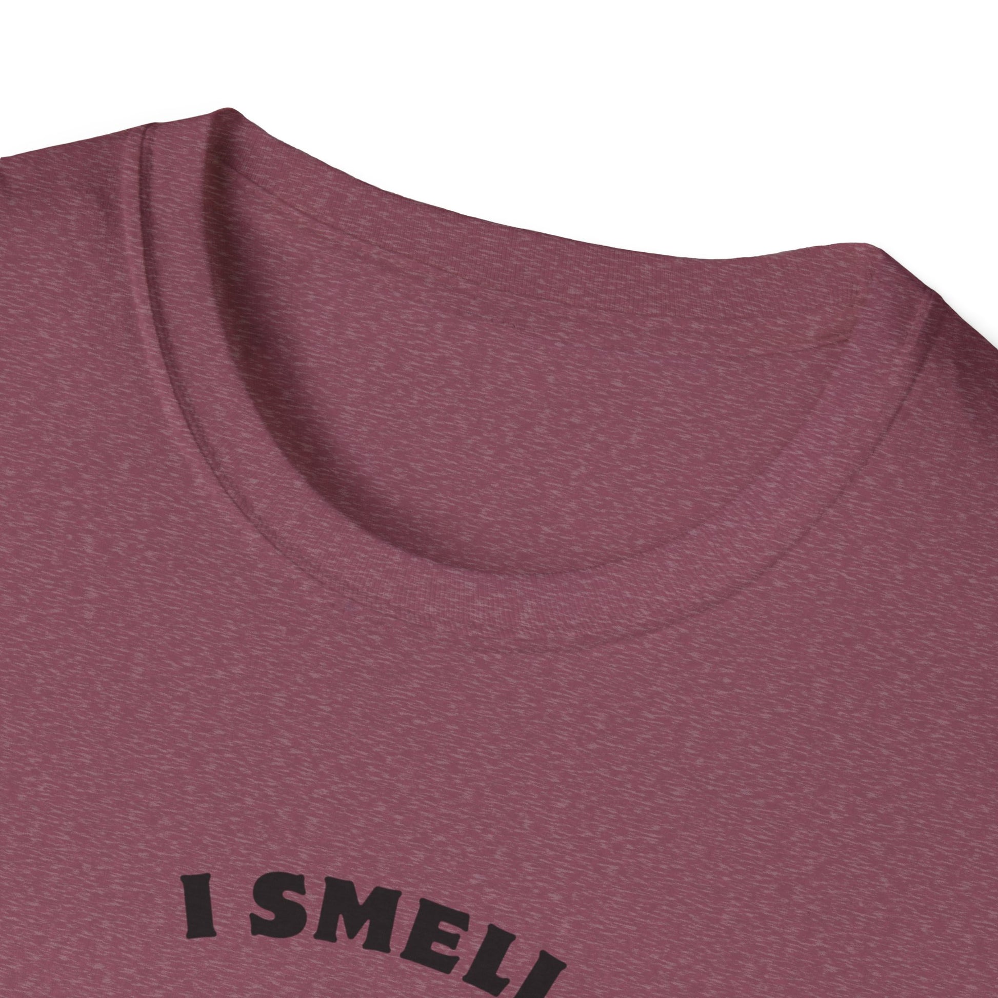 I Smell Your Light Saber Unisex T-Shirt | Fun Graphic Tee, Sci-Fi Humor Shirt, Gift for Star Wars Fans, Casual Wear, Joke Shirt
