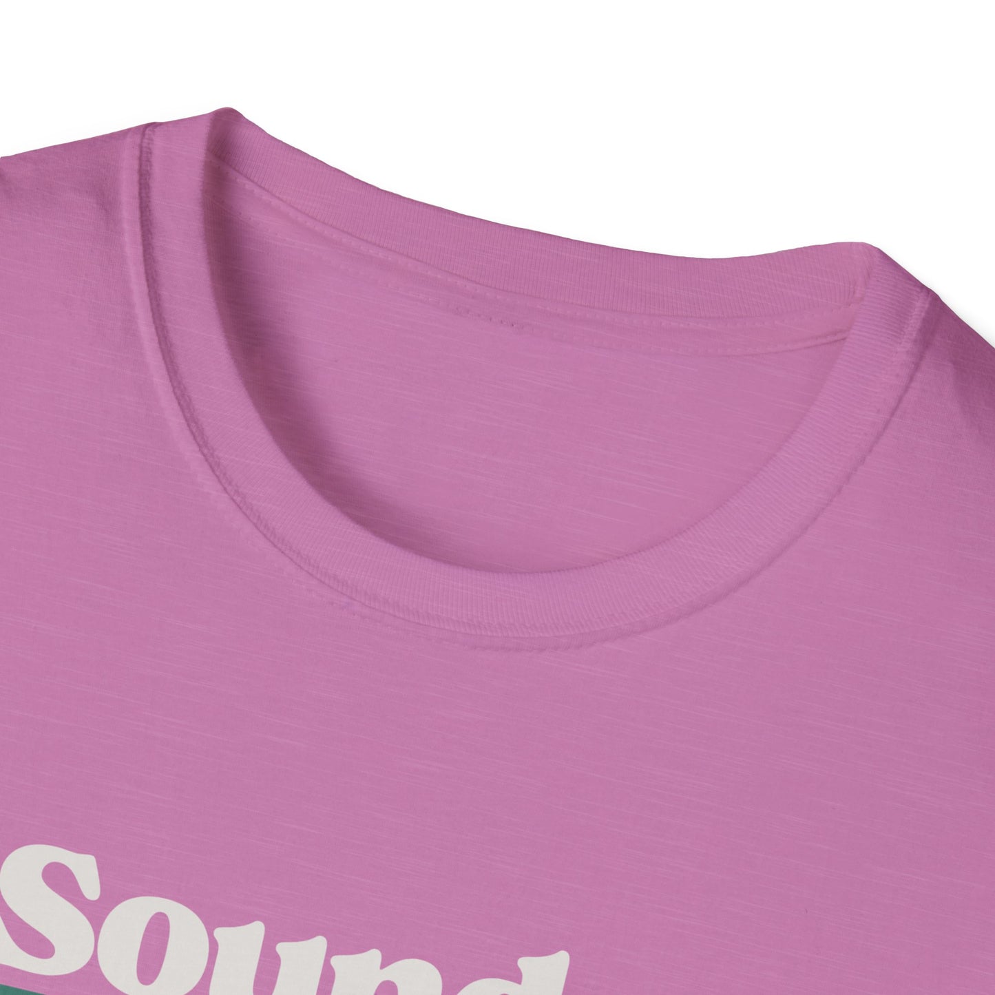 Sounds Gay Unisex Softstyle T-Shirt - Pride Apparel for LGBTQ+ Community