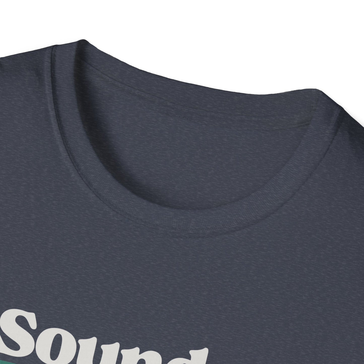 Sounds Gay Unisex Softstyle T-Shirt - Pride Apparel for LGBTQ+ Community
